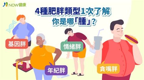 肥胖類型測驗|你的胖是哪種胖？6種「肥胖類型 + 瘦身方法」分析，。